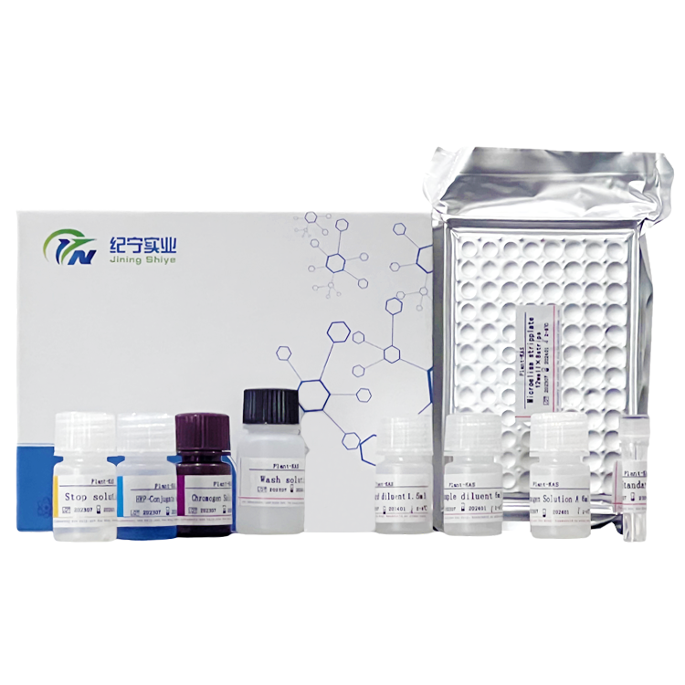 人NADPH氧化酶(NADPH-OX)ELISA試劑盒