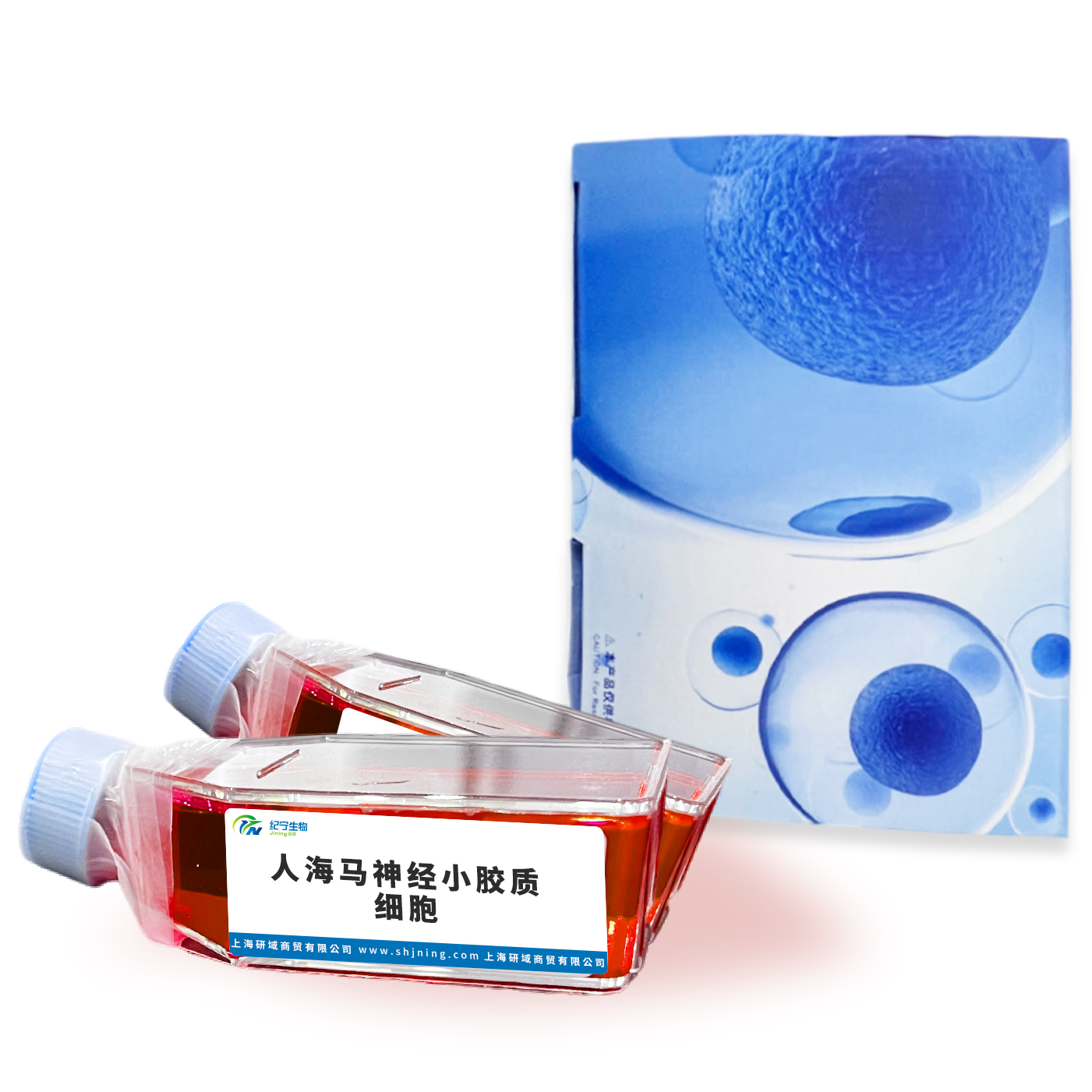 人海馬神經(jīng)小膠質(zhì)細胞