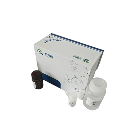 植物全磷檢測(cè)測(cè)試盒(分光光度法/50T)